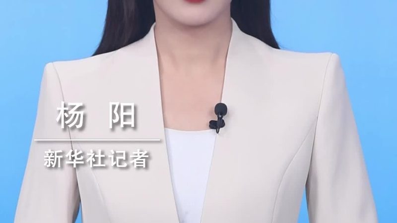 企业AI应用：优缺点解析与选型指南
